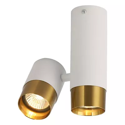 Точечный накладной светильник Lussole GILBERT LSP-8829