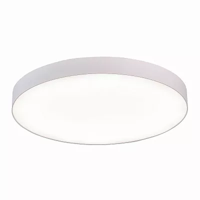Потолочный светильник Белый LED 185-265V St Luce ST606.542.96