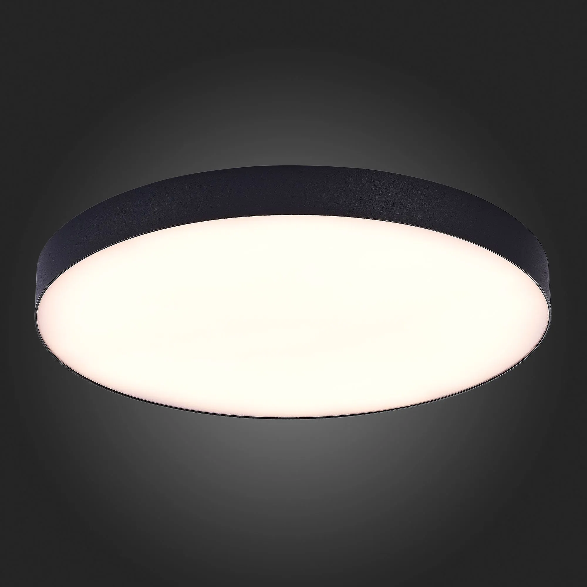 Потолочный светильник Черный LED 185-265V St Luce ST606.432.96