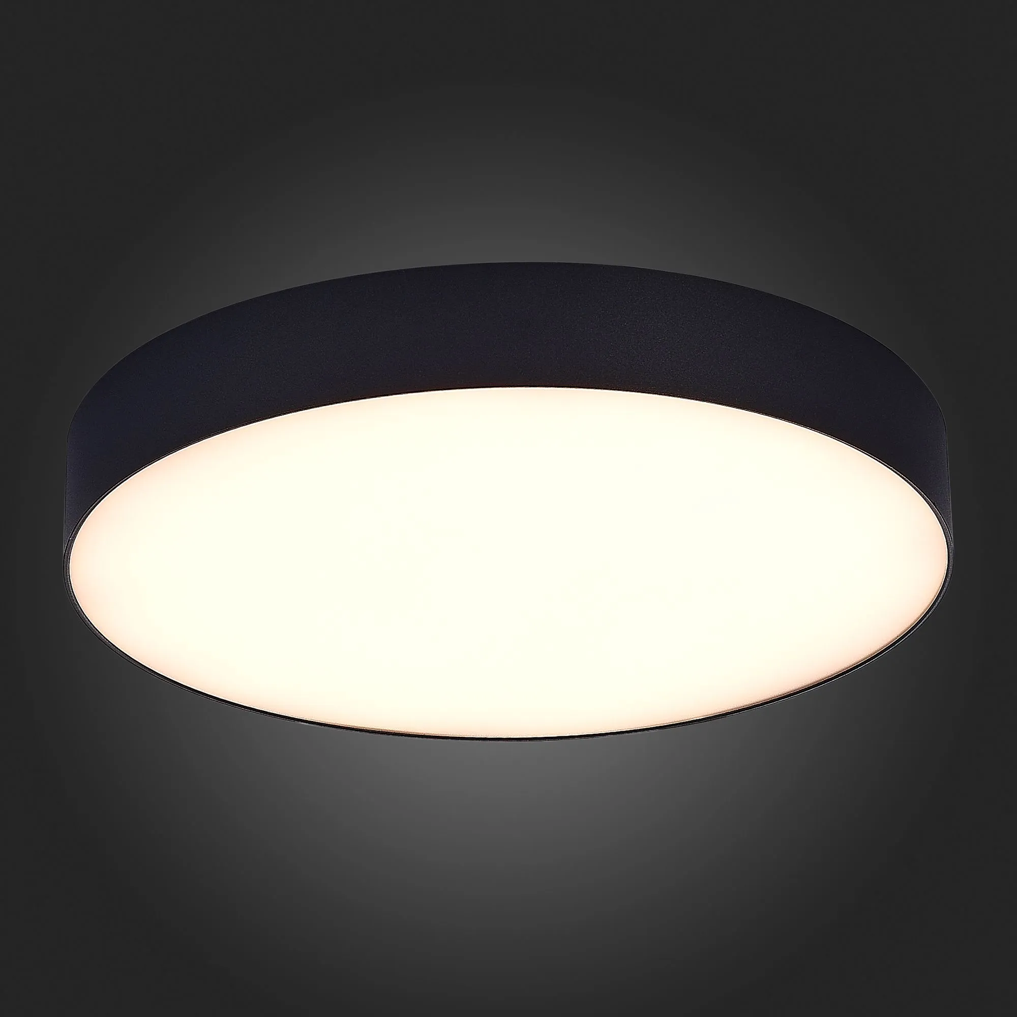 Потолочный светильник Черный LED 185-265V St Luce ST606.432.48