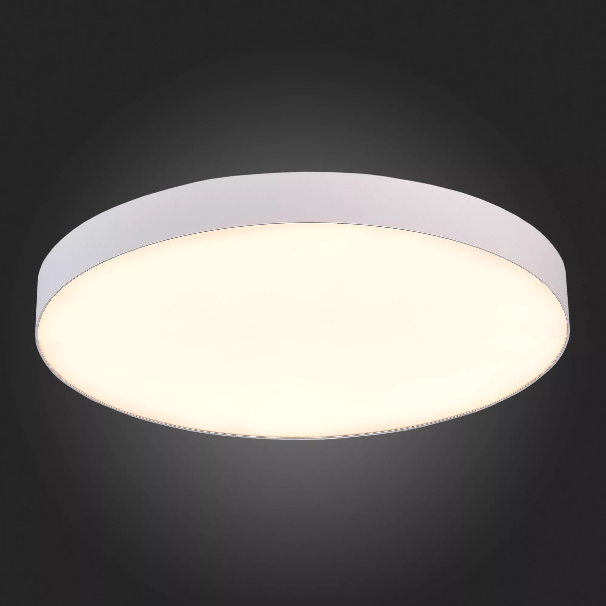 Потолочный светильник Белый LED 185-265V St Luce ST606.532.96