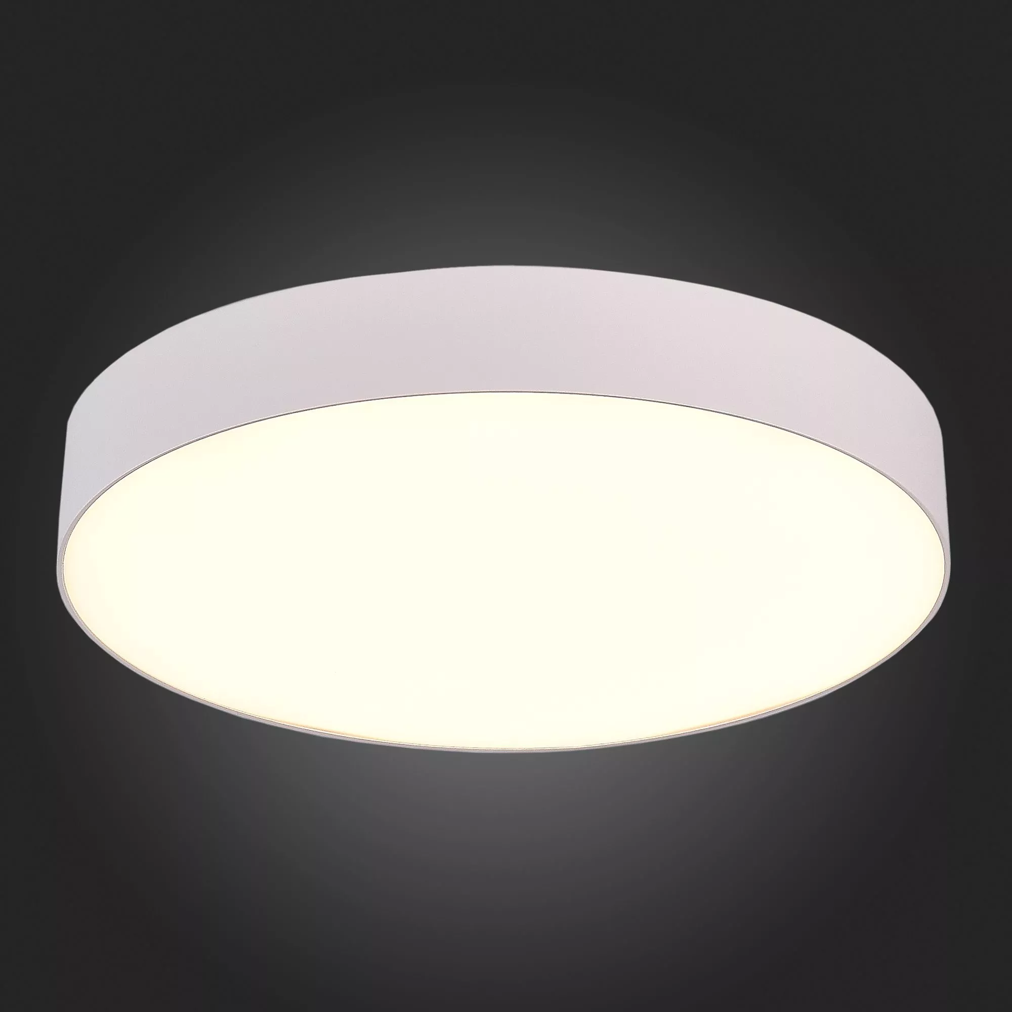 Потолочный светильник Белый LED 185-265V St Luce ST606.532.48