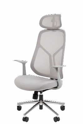 Кресло компьютерное CHAIRMAN CH588 с подголовником ткань сетка серый