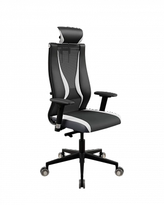 Офисное кресло Метта ErgoLife SynchroSit 10 B2-170D-Italy+UMF(SY271)+Extra/Kb38/Wh09/D03P/H13mL-Pf-2D(M24.B11.G19.W31)