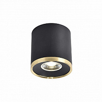 Точечный накладной светильник Favourite Prakash 3086-2C