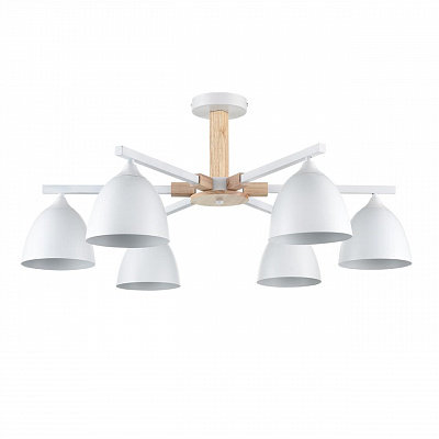 Люстра на штанге LUMION COLANGE 8095/6C